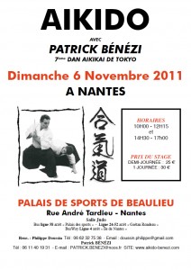 Stage Patrick Bénézi à Nantes le 6 novembre 2011