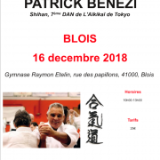 Stage avec Patrick Bénézi SHIHAN à Blois le dimanche 16 décembre 2018