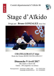 Stage avec Bruno Gonzales à Chatellerault le dimanche 9 avril 2017